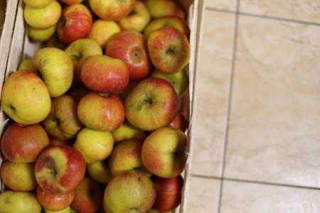 23.12.2023_GORSKI LEVI1